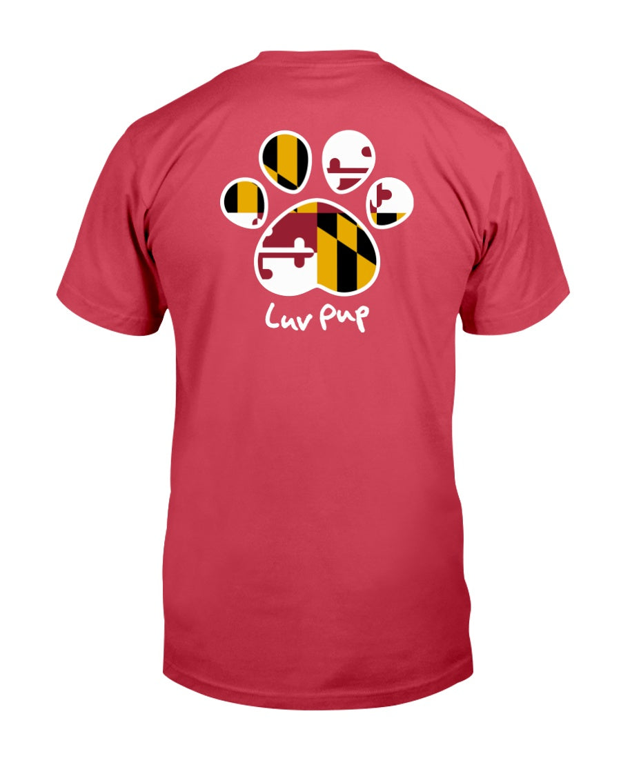 c41e4f99d922279a8af8f62d2b46c244467c11ba09c5f6dd4f26600a252de278